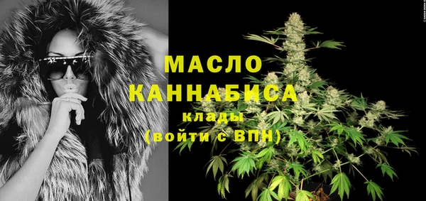 гашик Няндома