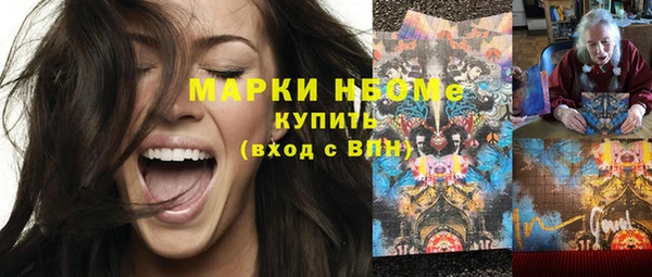 гашик Няндома