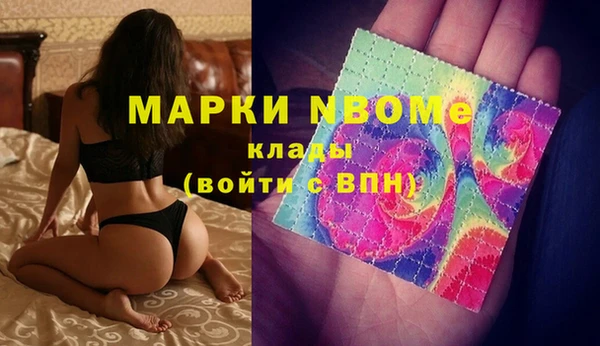 гашик Няндома