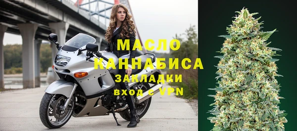 гашик Няндома
