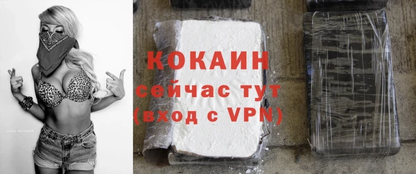 гашик Няндома