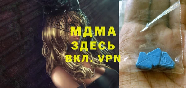 гашик Няндома