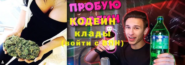 гашик Няндома