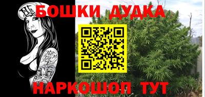 сатива Беслан