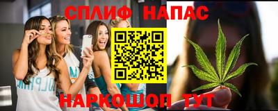 сатива Беслан