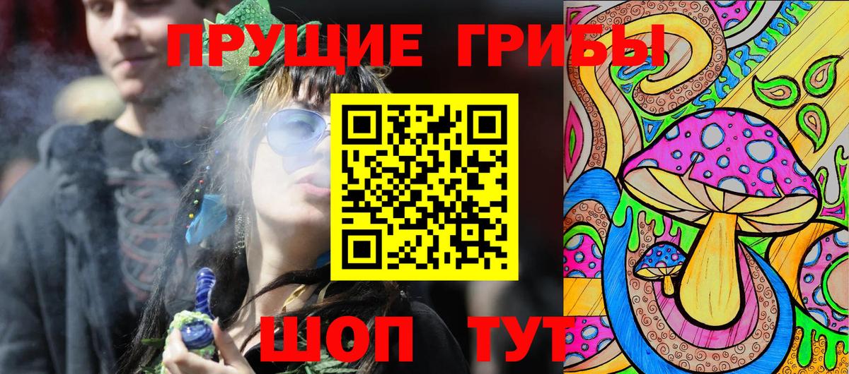 закладка  Вход с VPN  Майкоп  Псилоцибиновые грибы прущие грибы 