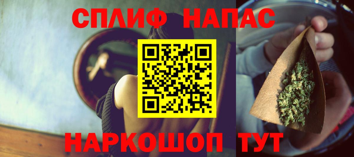 Конопля конопля Майкоп